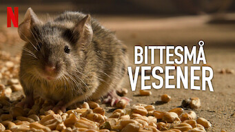 Bittesmå vesener (2020)